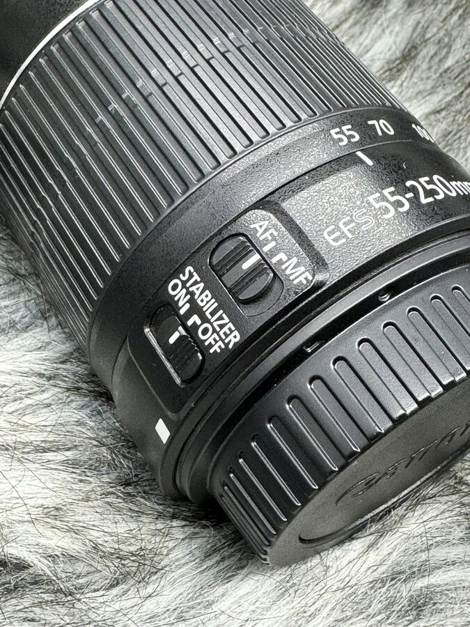 Canon EOS 77D 24.2 MP Digital SLR Camera with EF-S 18-55mm & EF-S 55-250mm Lenses