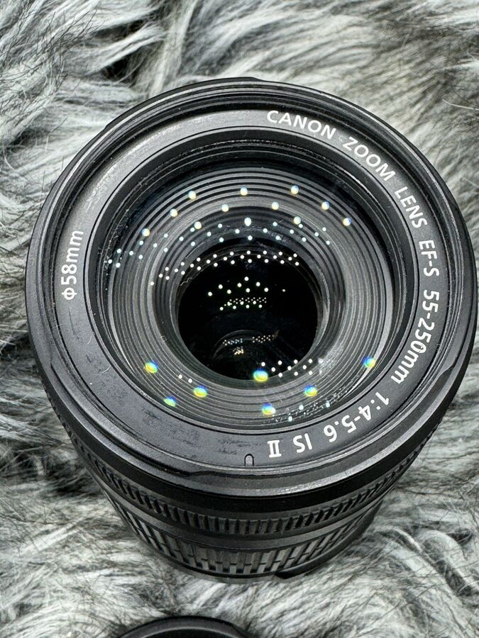 Canon EOS 77D 24.2 MP Digital SLR Camera with EF-S 18-55mm & EF-S 55-250mm Lenses